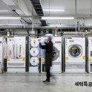 세탁특공대 이미지