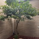 경주 풀빌라 몽펜션 이미지