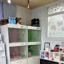 아이러브댕댕 이미지