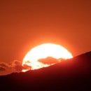 역삼-1731 이미지