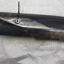 바이크체크