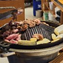 화정 양고기 맛집 스타램 화정2호점 방문후기