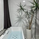 402 | 강릉 오션뷰 숙소 추천| 당신의 안목 402호 솔직 후기