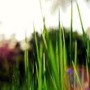 음악이있는공간 이미지