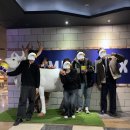 투비라인뷰티 | 얼마나 외모정병 걸렸는 지 감도 안 옴…(허걱)