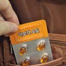 [한미양행] 베타카로틴 라이코펜 아보카도오일 걱오일 비타민E 건강보조식품 영양제 &#39;아보걱 오일&#39;