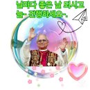오월의숲 이미지