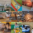 새청주유치원 | 청주 실내 동물원 아이와 가기 좋은 곳 데이트 코스 추천 버드앤쥬🦜
