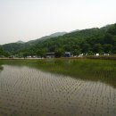 예산-71 이미지