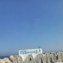 G9호텔 | 포항펫글램핑 포항애견동반글램핑 풀글램핑 &amp; 펫글램핑 후기