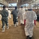 천년 농장 이미지