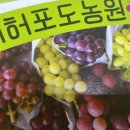 허허포도농원