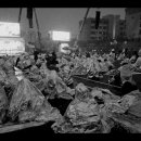 란이 - 세종특별자치시 이화로 36 | 란이