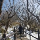 (#115 ) 동계캠은 이걸로 마지막인듯.... ( 무주 덕유대전세캠 / 덕유산 향적봉 - 곤돌라 ) 2019년 2월...