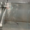 방화동농장 | 베타 유어를 키우기 시작했다!