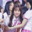 율 Daum카페