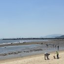 보성아라낙지 이미지