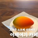 부산광역시청_3층 | [이제여기카페] 내돈내산후기 연산 부산시청카페 | 인스타 망고소르베 케이크 맛집