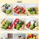 과일플래너 이미지