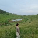 가파도농부와해녀가파도의봄을담다 | 5월 제주여행 : 금오름/가파도/빛의벙커/에어비앤비/목포고을/랜디스도넛/인스밀/도두해녀의집