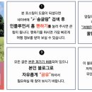 북삼스크린골프죤 이미지