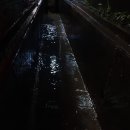 와이디에스 이미지