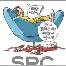 또 반복된 SPC 사망사고 이미지