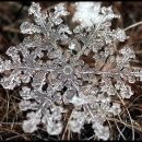 연세눈꽃치과 이미지