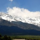 금수목장 이미지