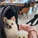 민헤어 | 다산 미용실 퍼스널염색 후기 우앤민헤어 2호점
