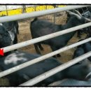 병세농장 이미지