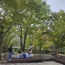 초부리유아숲체험원 이미지