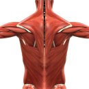 스마트핏 운동센터 이미지