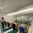 피포유 이미지