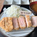 송도지리산청정흑돼지만족식당 | [내돈내산] 가평 자라섬 애견동반 돈까스 맛집 타이거카츠 솔직 후기ෆ (주말 오전 웨이팅)