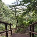 6월의 목장 티스토리