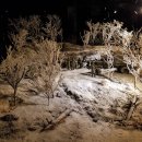 평화회관 이미지