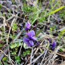 궁내초교 이미지