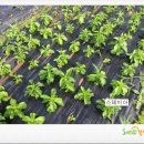 희망찬농장 이미지