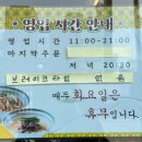 양천관 네이버블로그