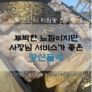 산들애식당 - 성주군 | 논산 취암동 황산들애 | 투박해서 더 맛있는 오겹살과 오징어찌개