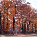 진해여자중학교 이미지