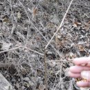 푸른산내들 이미지