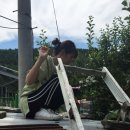 솔바위로그하우스 이미지