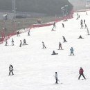 닥터스노우