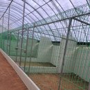 동물보육원 이미지