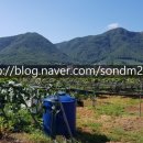 손덕문 공인중개사사무소 이미지