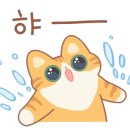 썸바