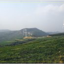 대로2목장 이미지