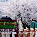 여성단체 화합한마당행사 | 왕과사는남자 강원도 영월 2026 단종문화제 완벽 가이드 (일정·행사·볼거리 총정리)